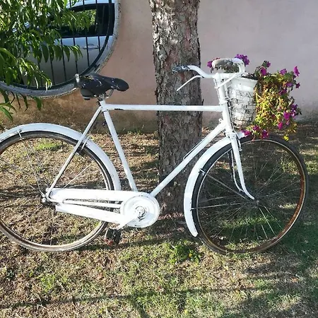 Curti Alloggio in famiglia *